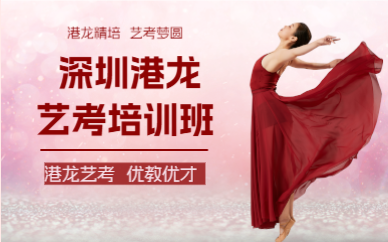 深圳港龙艺考培训班