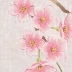 王丽