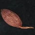 李明