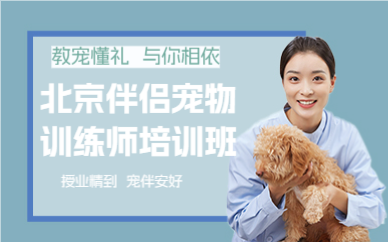 北京伴侣宠物训练师培训班