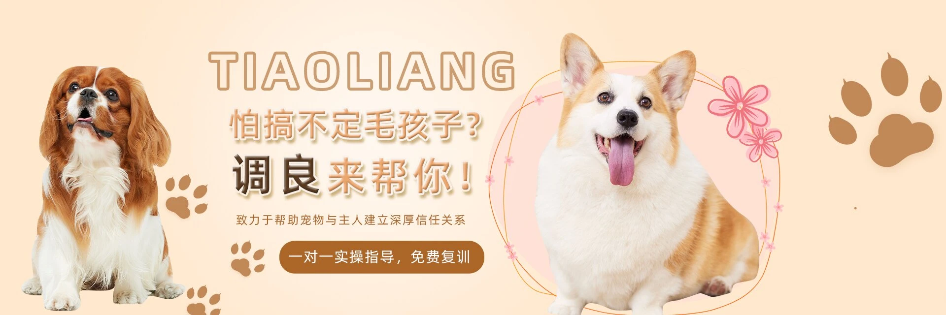 新东方，老师好