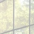 王丽