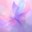 王同学