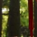 刘同学