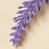王丽丽