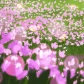 王同学