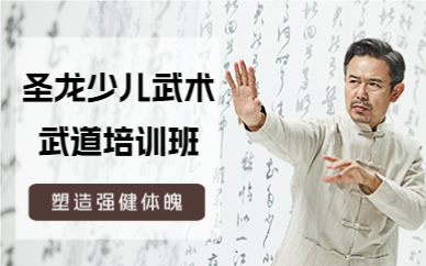 北京圣龙少儿武术武道培训班