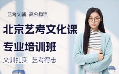 北京艺考文化课专业培训班
