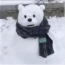 李同学