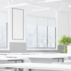 陈同学