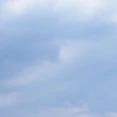 艺考生刘同学