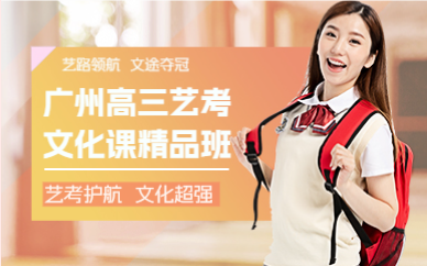 广州高三艺考文化课精品班