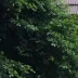 张伟