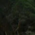 維維