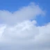 许先生