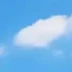 王同学