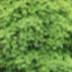 张伟