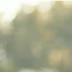 小李