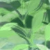明明