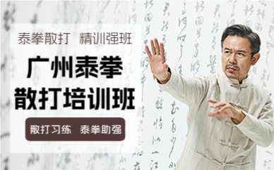 广州泰拳散打培训班